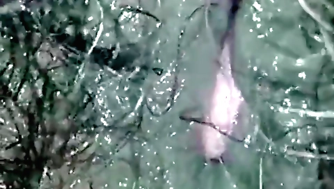 Indian amateur girl fingered and fingered her pussy