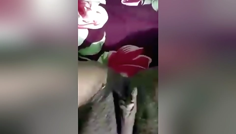 Indian bhabhi fucked while husband is away in house